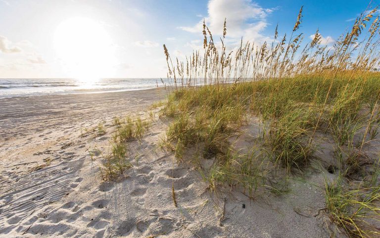 White sand beach dune