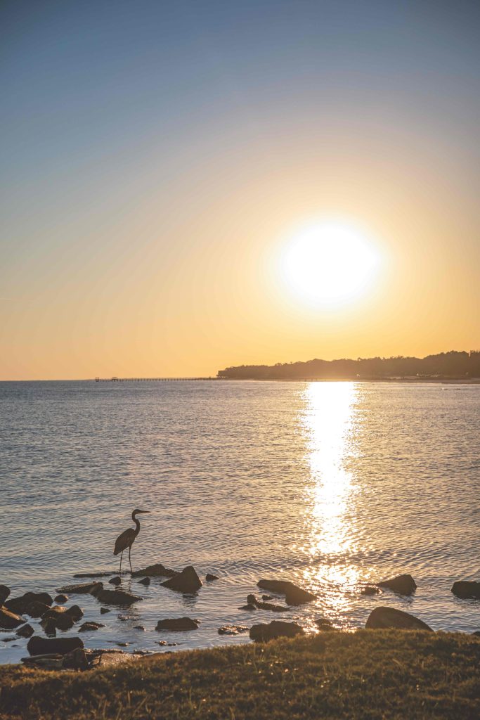 Dive into Mississippi's Gulf Coast