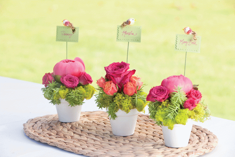 Bird Party Placeholders