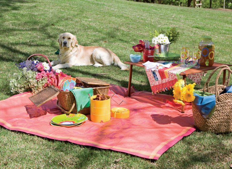 Picnic Menu - Southern Lady Magazine
