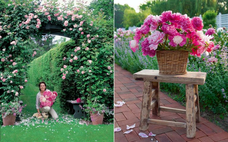 A picture of Carolyne Roehm At Home in the Garden