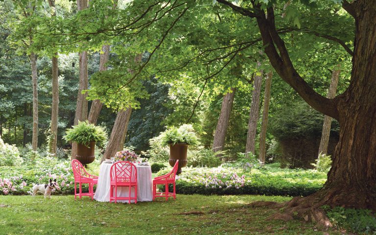 A picture of an outdoor setting from "Designing Life's Celebrations"