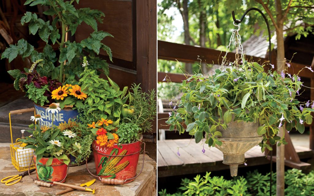 A picture of creative floral containers