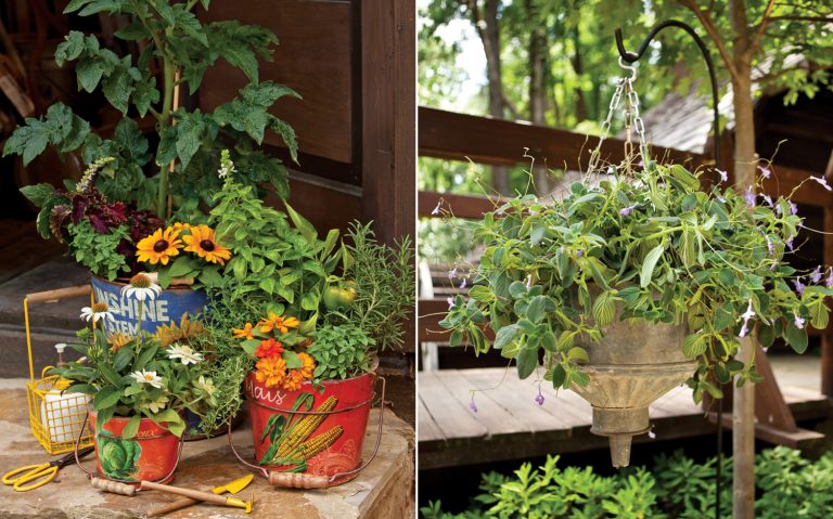 A picture of creative floral containers