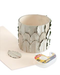 a picture of supplies needed for leaves container project