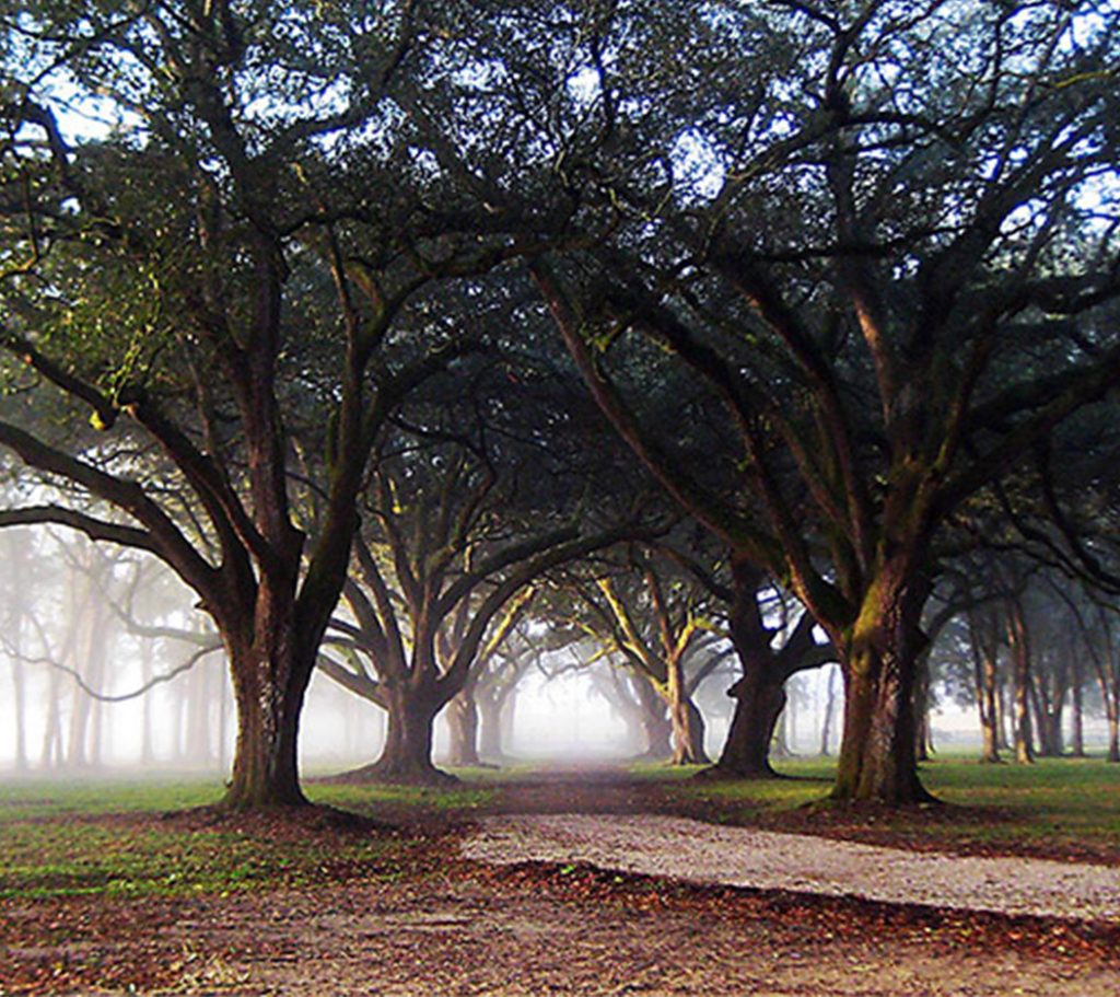 new orleans plantation country