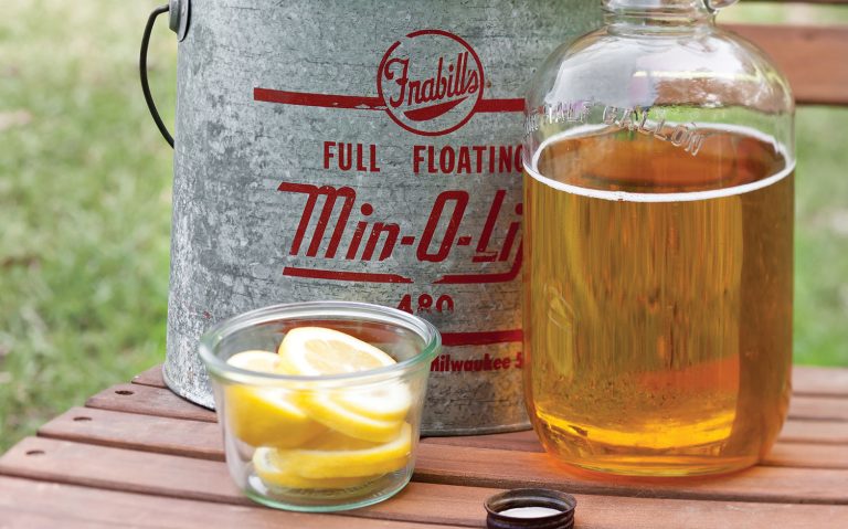 Bourbon-Cider Fizz
