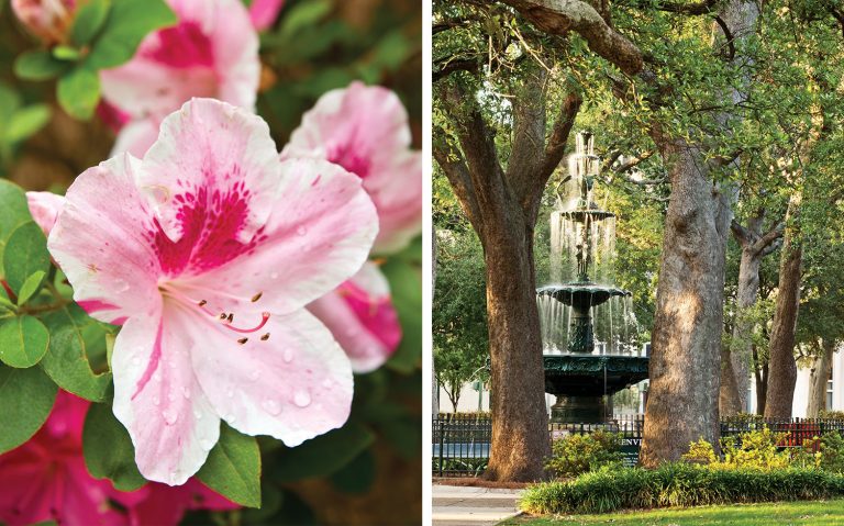 Azalea City Mobile Alabama1