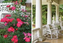 Signs of the Season: Spring Edition