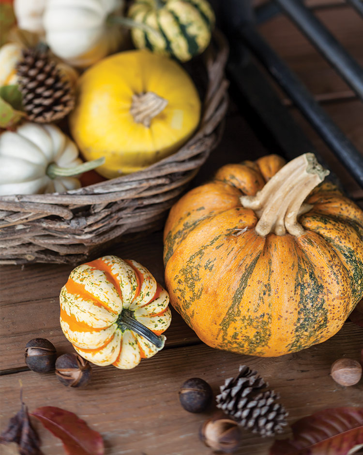 Preview Southern Lady's October 2017