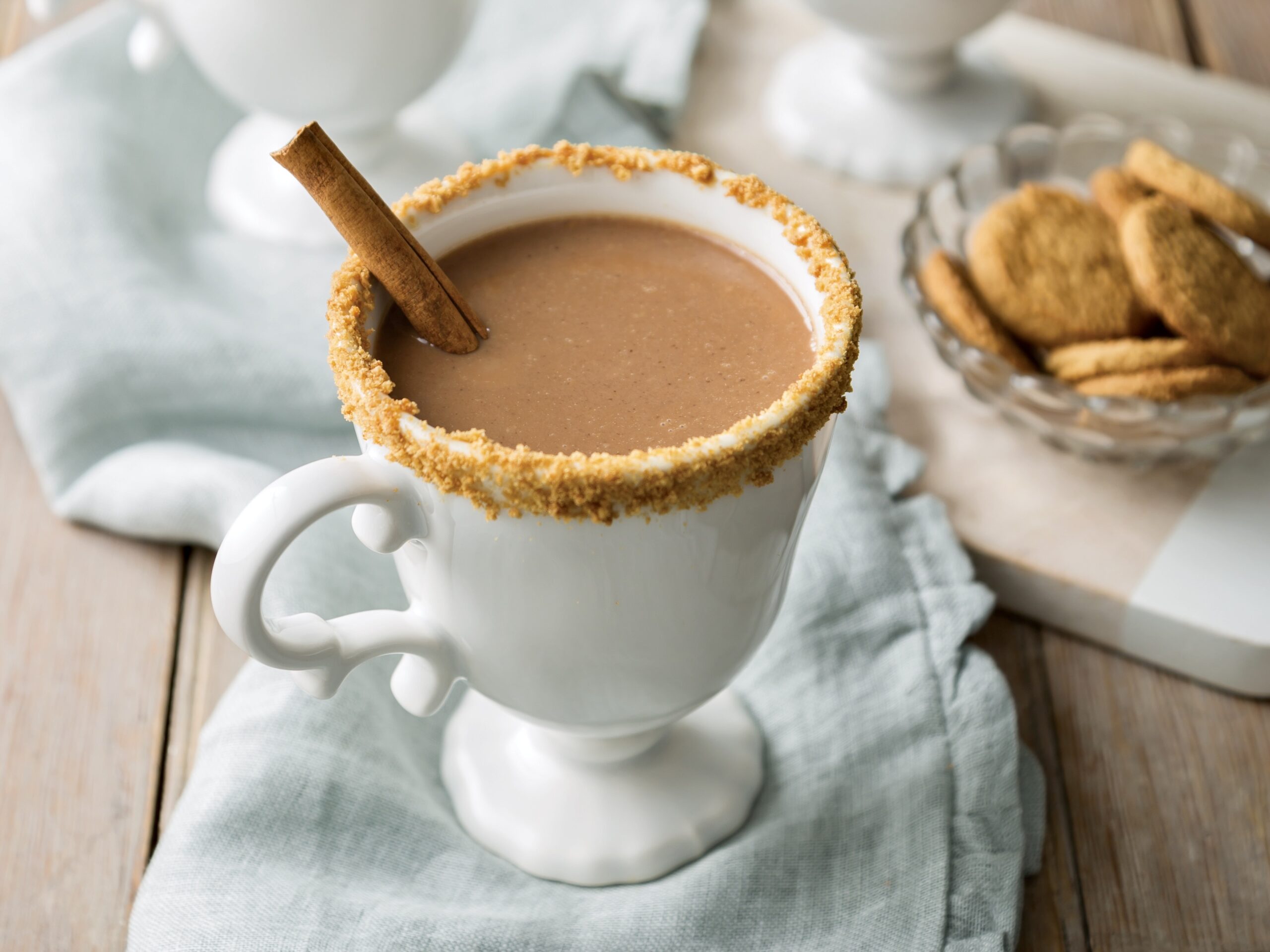 Gingerbread hot chocolate in a white mug