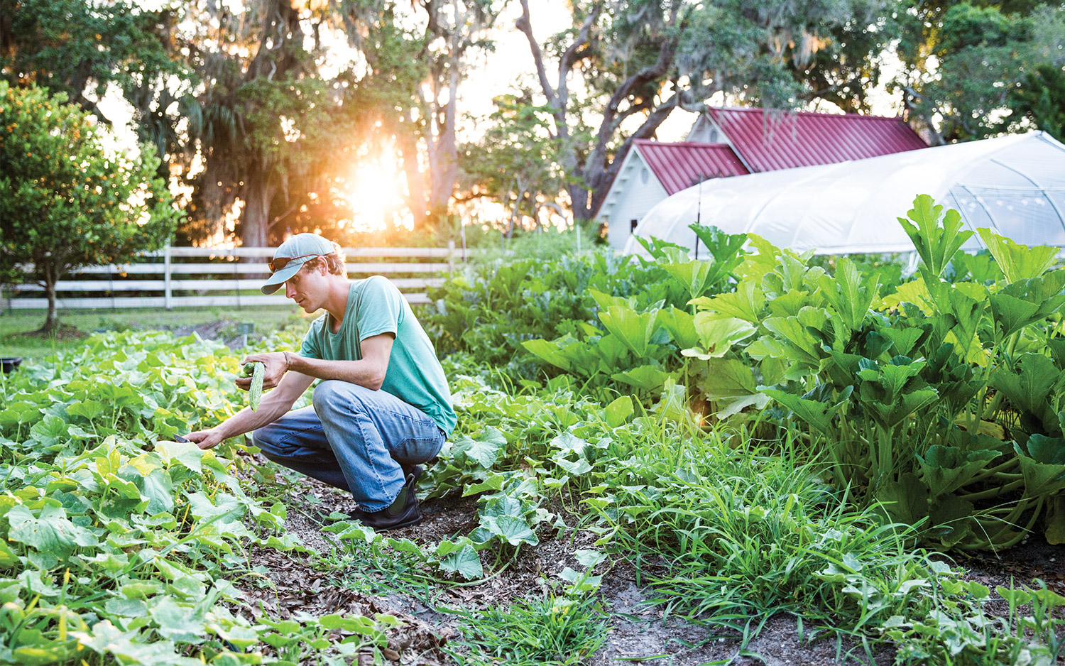 Island Retreat at Greyfield Inn