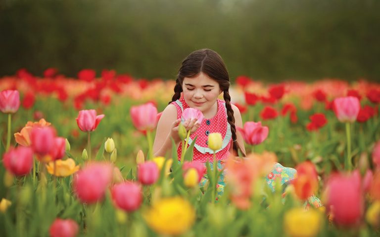 Festival of the Tulips