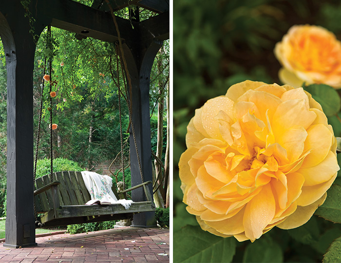 Home & Garden Favorites 2019 Issue Preview