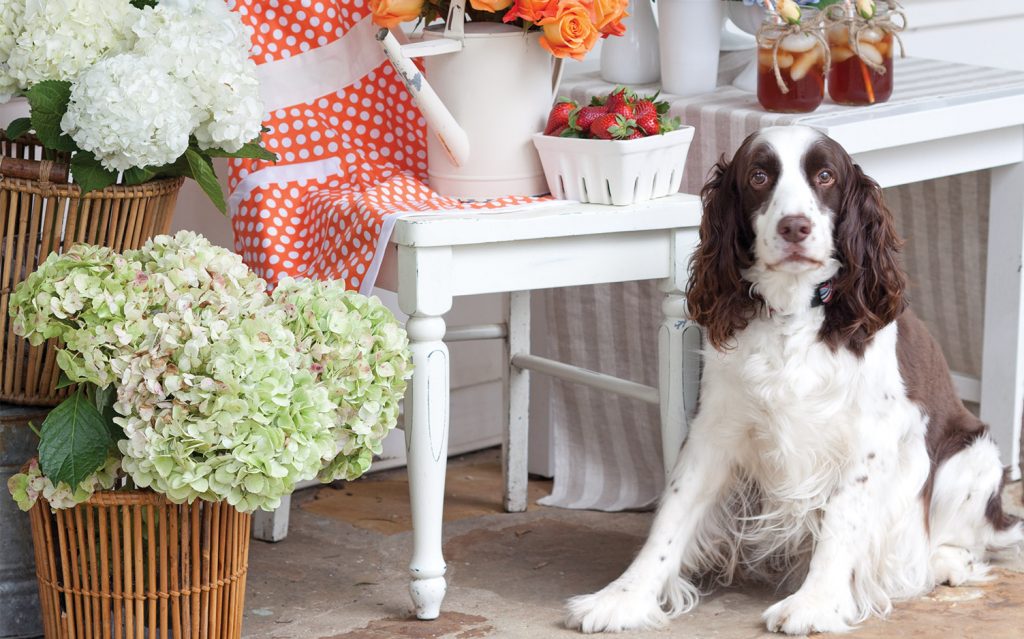 Preview Our Entertaining 2023 Special Issue