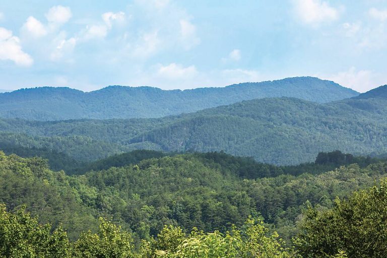 Picturesque Mountain Escapes