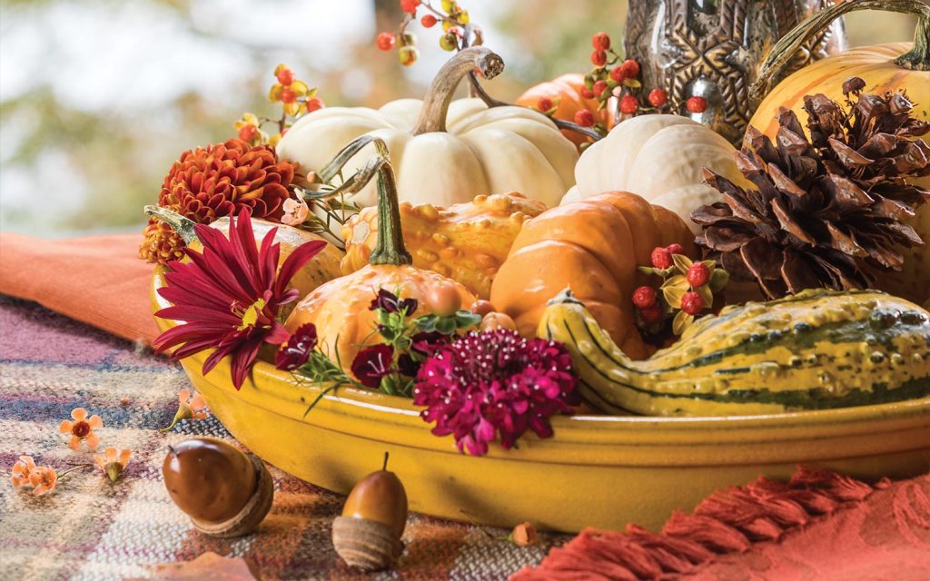 Autumn in the South 2021