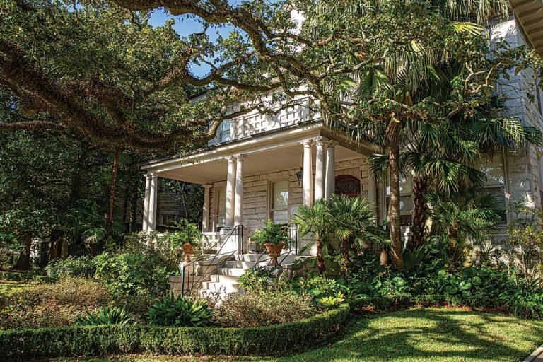 Growing Through the Years in a Verdant New Orleans Garden
