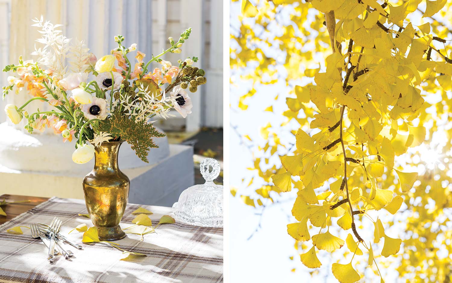 Yellow fall leaves and an arrangement of peach, yellow, and white flowers