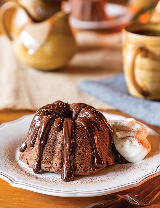 Chocolate recipes mini Bundt cake