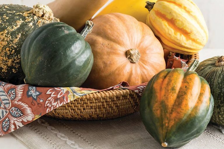 4 Harvest Squash Dishes