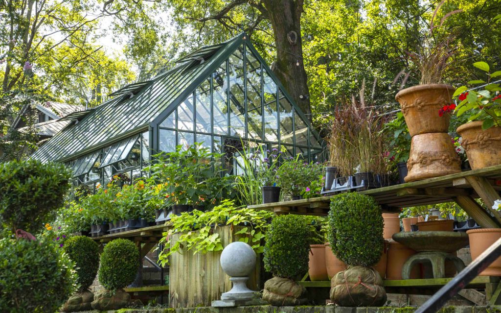 Greenhouse and plants at Shoppe in Birmingham, Alabama