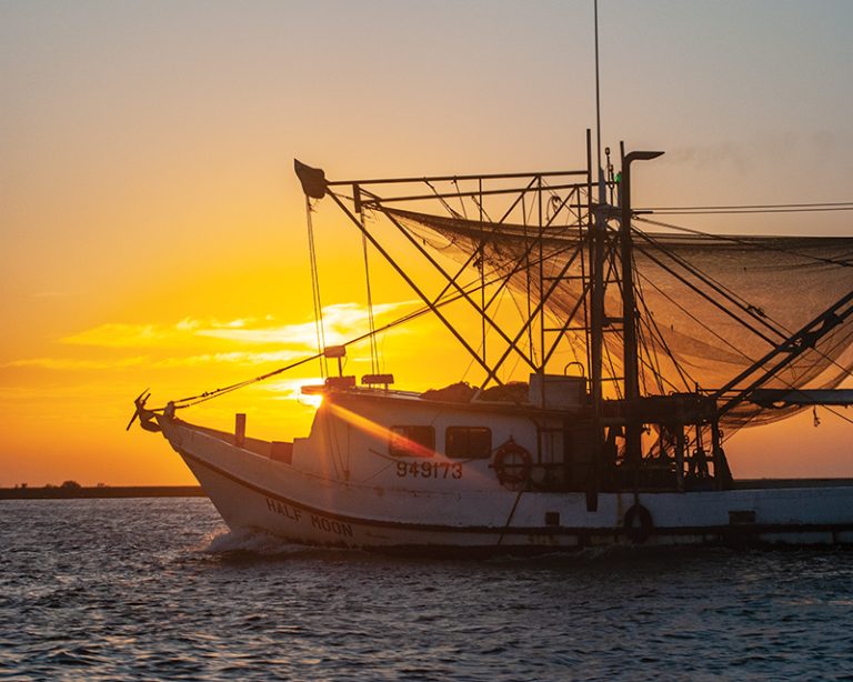 Explore Houma and Bayou Country