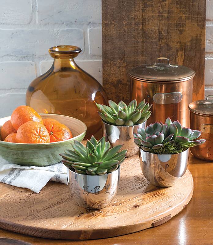 Jefferson cups display succulents in a kitchen vignette