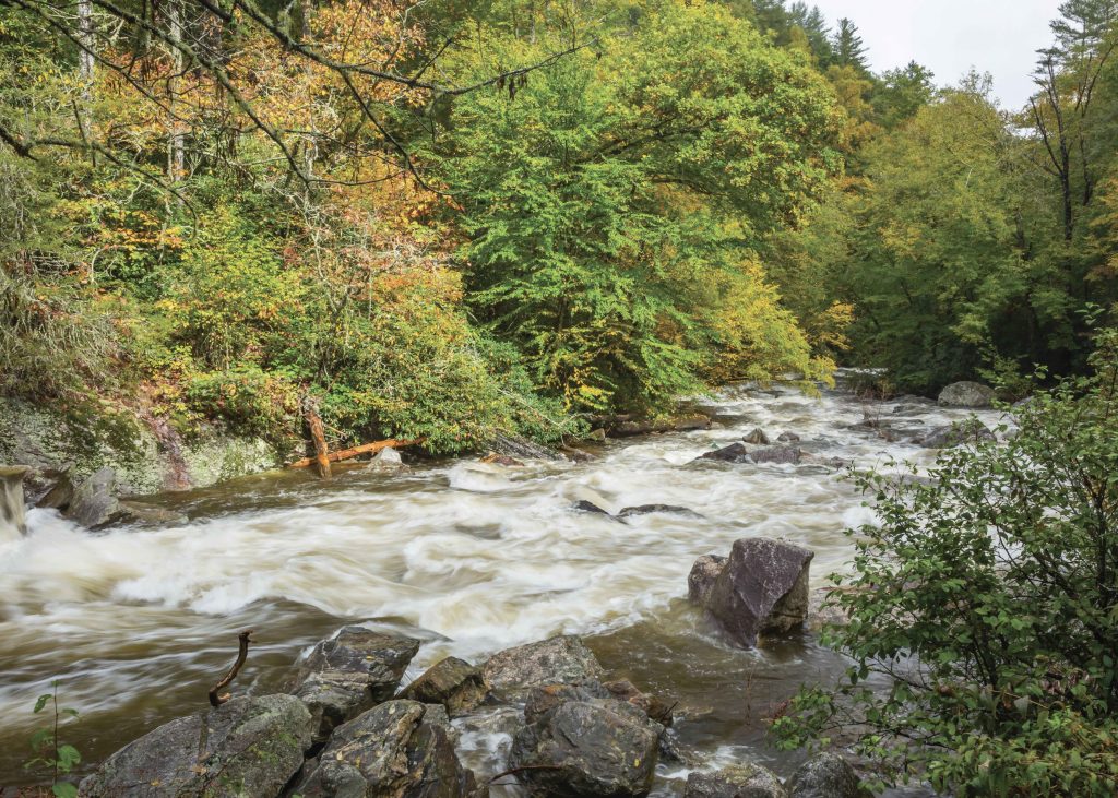 Scenic view of Lake Toxaway, North Carolina