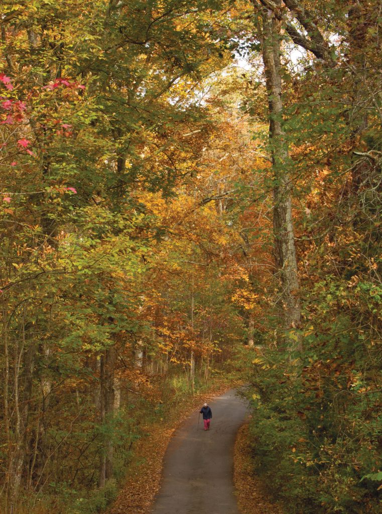 7 Autumn Leaf-Peeping Locales Across the South