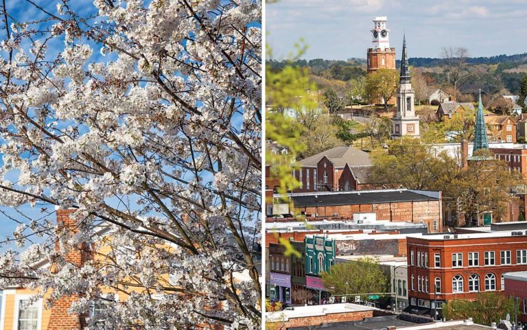 On Seven Hills: Rome, Georgia, vistas