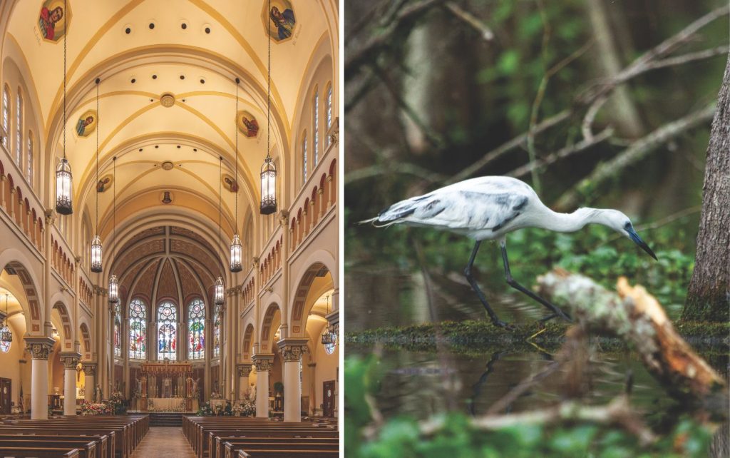 Our Top 5 Reasons to Visit Lafayette, Louisiana