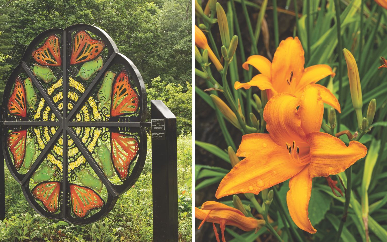 North Carolina Arboretum