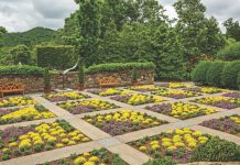 Experience Beauty in Bloom at the North Carolina Arboretum Experience Beauty in Bloom at the North Carolina Arboretum