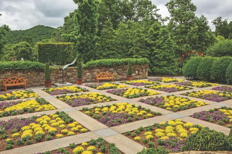 Experience Beauty in Bloom at the North Carolina Arboretum