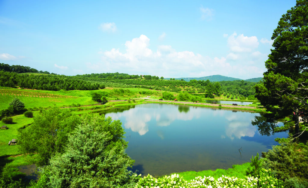 Blue Ridge, Georgia, lake scenery