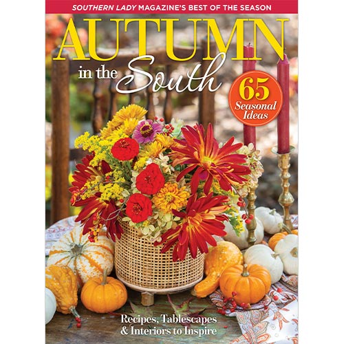 Southern Lady Autumn in the South 2023 cover