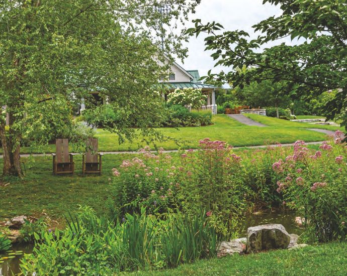 Garden scene in Blacksburg, Virginia