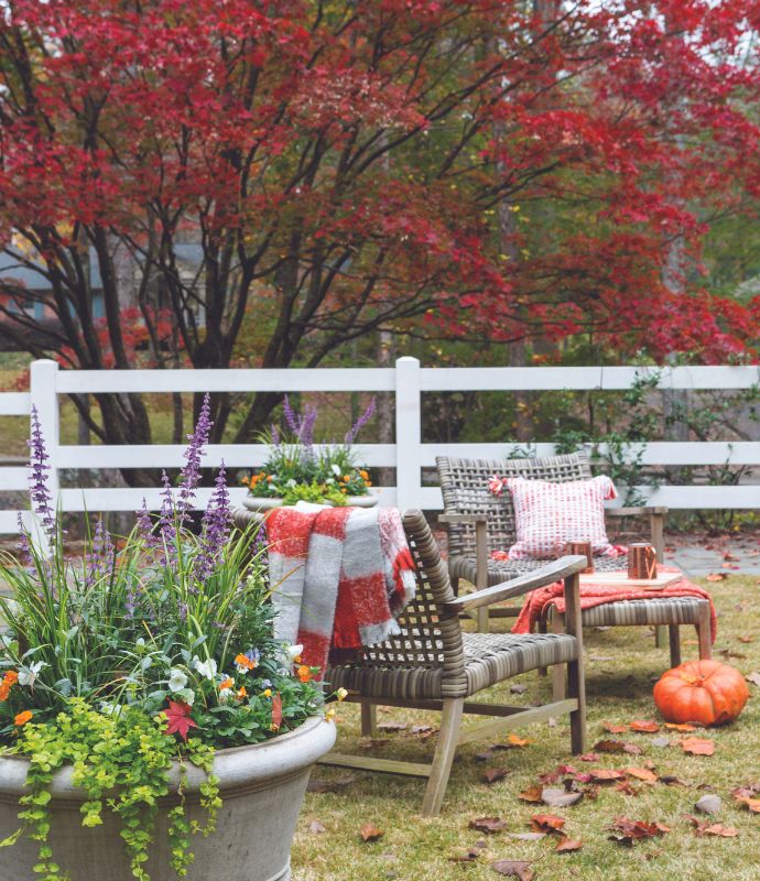 Two chairs amid fall scenery