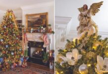 5 Spectacular Christmas Trees 5 Spectacular Christmas Trees