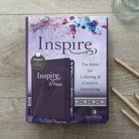 Inspire Prayer Giant Print Bible