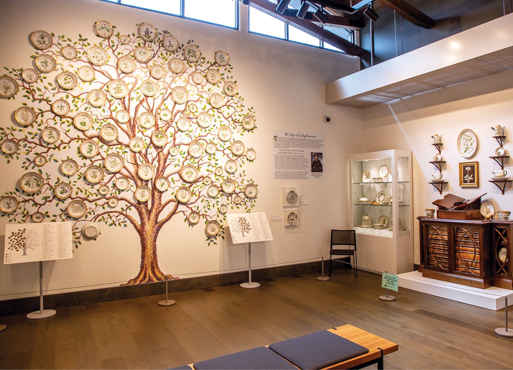 Flora Danica china tree