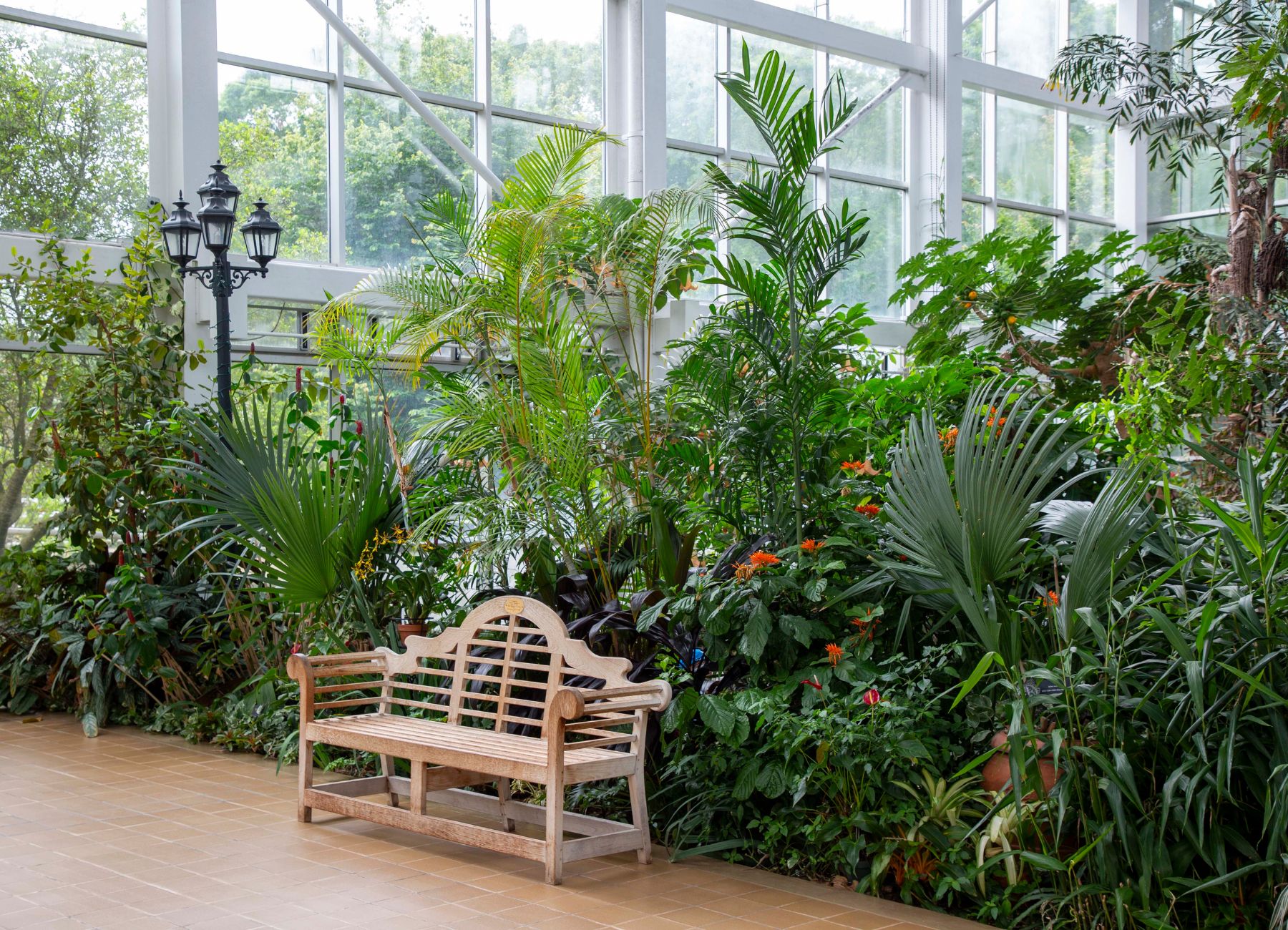 Bench surrounded by tropical flora