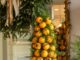 Deck the Halls with Fanciful Fruit A topiary Christmas tree made from pomander oranges studded with cloves and greenery, on a buffet table in a formal dining room decked for the holidays