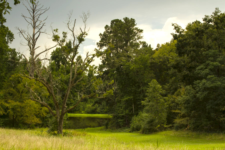A picturesque landscape at Andalusia.