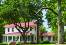 Celebrate Flannery O’Connor’s Birthday in Her Georgia Hometown Andalusia, the family farm of Southern Gothic writer Flannery O'Connor in Milledgeville, Georgia.