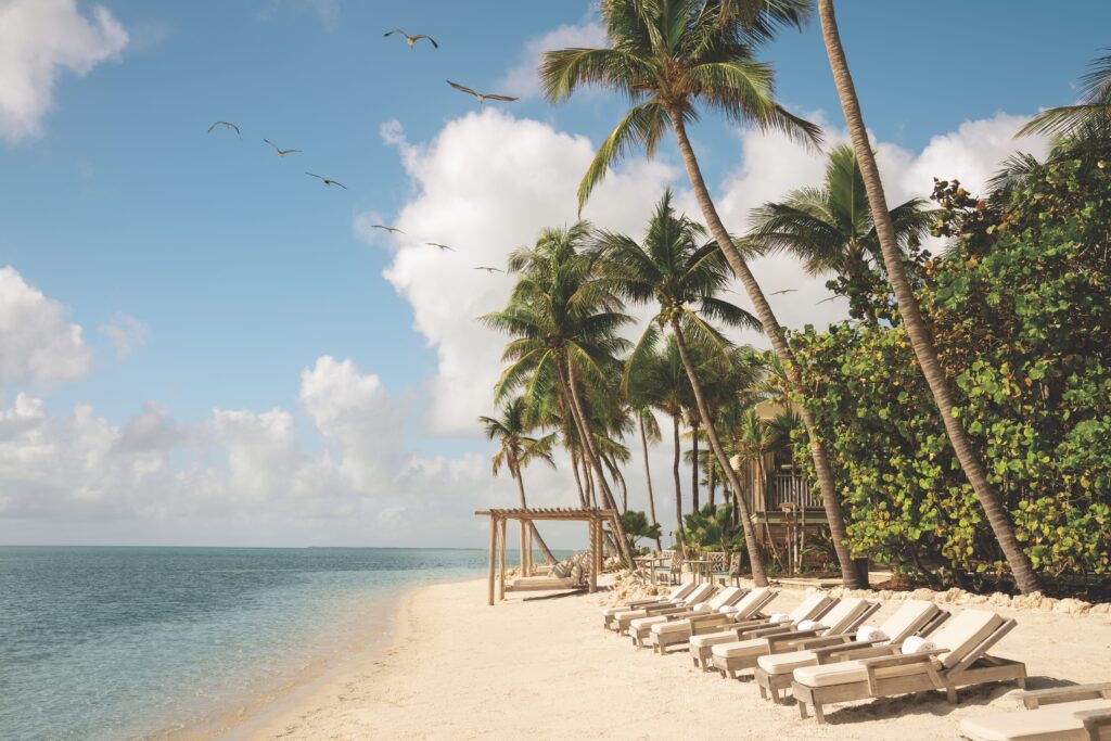 Reclining chairs set on the shore of the sea with palm trees overhead.