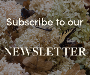 Subscribe to our Newsletter