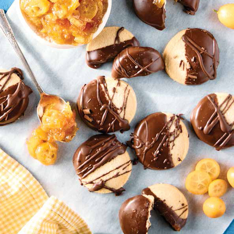 Cookies drizzled with chocolate