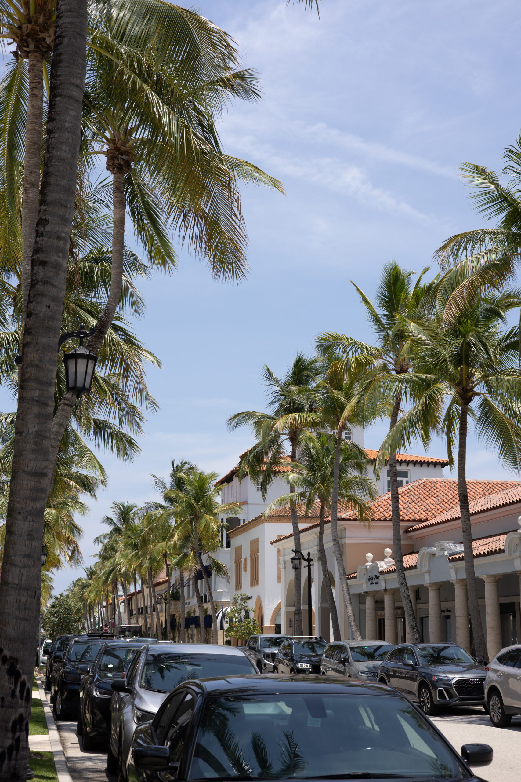 Palm Beach gallery walkway
